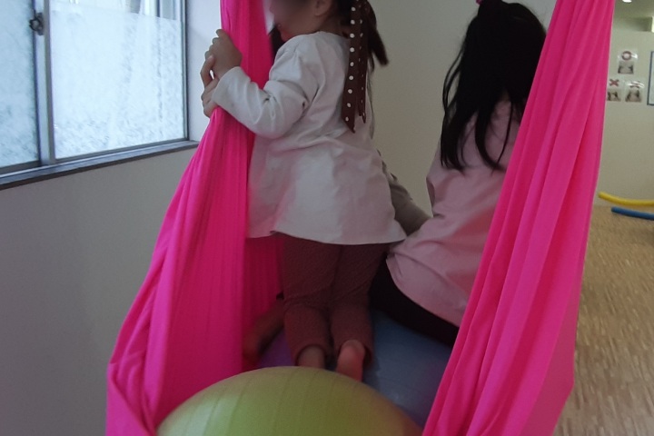 ハンモックとバランスボール