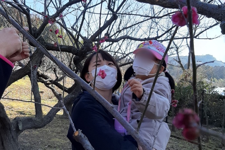 梅の花を見に行きました