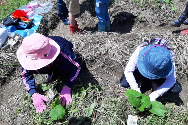 ironoha　夏野菜の植え付け
