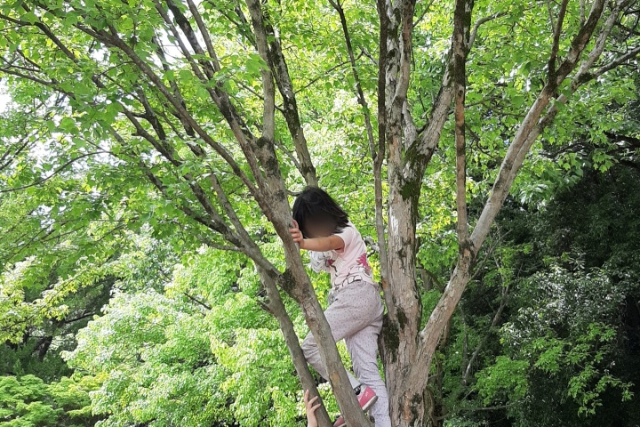 ironoha　小幡緑地