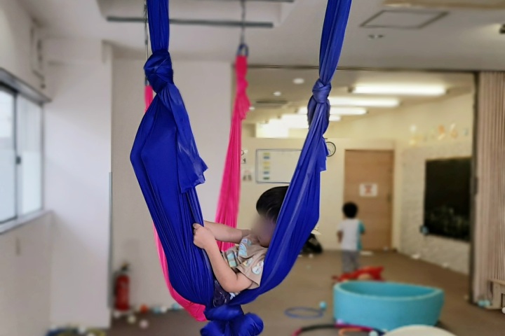 きのね　2022/6/24