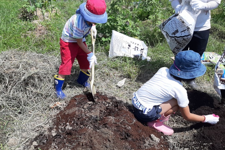 ironoha　畑の土づくり