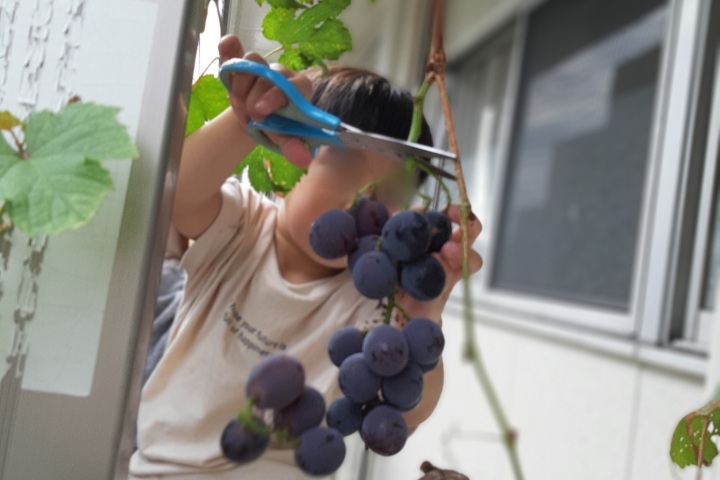 きのね　2022/8/24