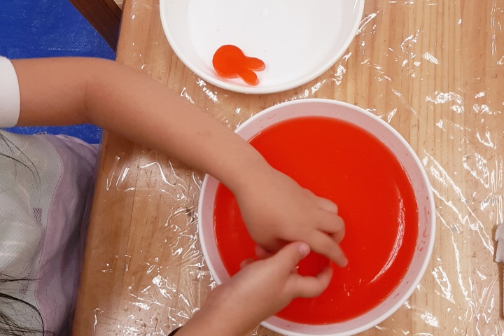 きのね　寒天あそび