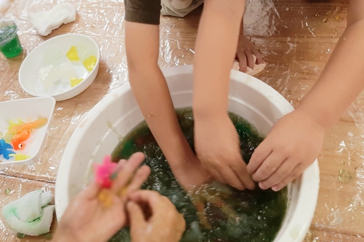 きのね　寒天あそび②～識別系を育てるあそび～