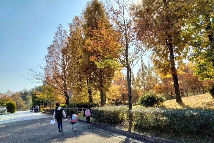 ironoha　四季の森