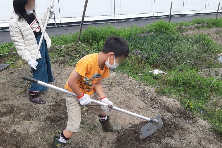 ironoha　畑の土づくり