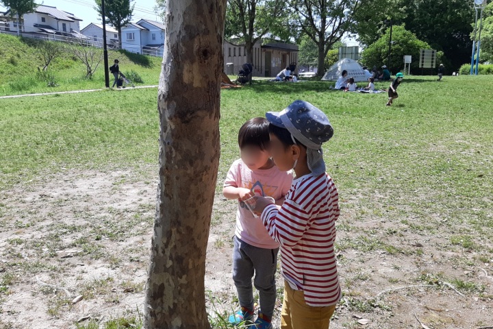 きのね　2023/4/24