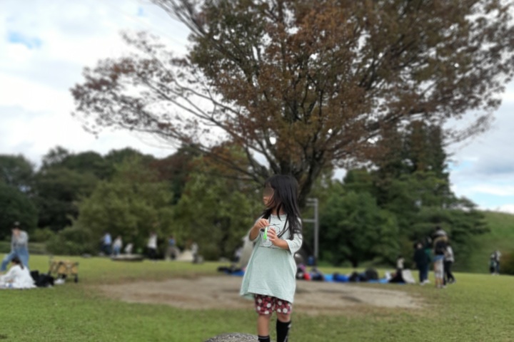 きのね　ironoha　四季の森