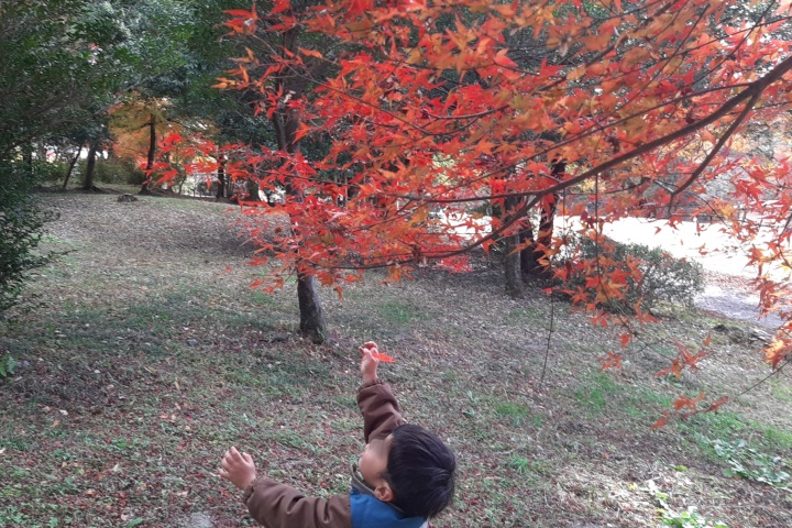 きのね　ironoha　森林公園