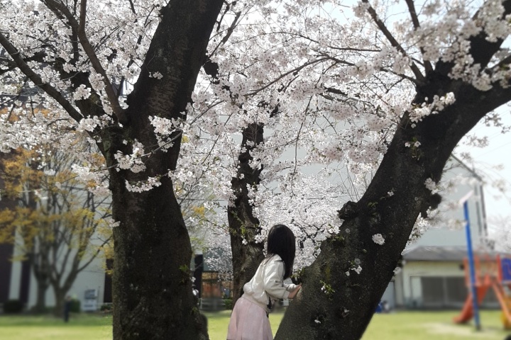サクラときのねの子どもたち