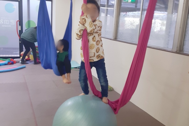 ハンモックとバランスボール